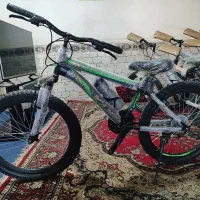 دوچرخه‌های ویوا با قیمت استثنایی(بهترین فرصت خرید)|دوچرخه، اسکیت، اسکوتر|بندر گناوه, |دیوار
