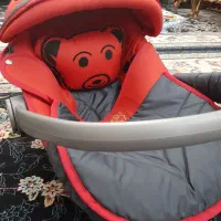 کریر نوزاد سالم