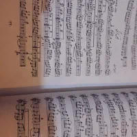 کتاب چهارم ویولن|ویولن|گرگان, |دیوار