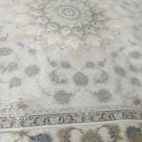 نو باز نشده|فرش|ساوه, |دیوار