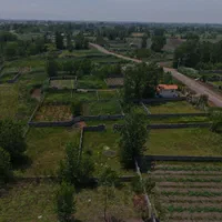 زمین ساحلی کوچه برندباامتیازات ویودریا20قدم تاساحل|فروش زمین و ملک کلنگی|رشت, خواهر امام|دیوار