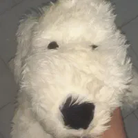 عروسک پولیشی سگ/قد۶۳سانت /نو