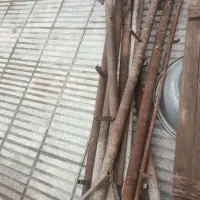 لوله فنس حاضر