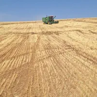 راننده کمپاین