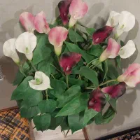 گل مصنوعی|گل مصنوعی|پاکدشت, پاکدشت (مامازند)|دیوار