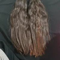 موهای شما با قیمت شما به بالاترین قیمت|خدمات آرایشگری و زیبایی|بروجن, |دیوار