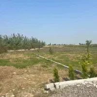 زمین شهرک تکمیل شده//همین فردا بساز