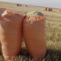 فروش محصولات کشاورزی