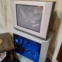 تلوزیون