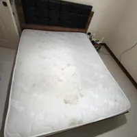 تشک برجیس