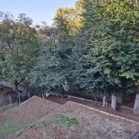 کلبه سوئیسی سند تک برگ شیرکده . ویشان|فروش خانه و ویلا|برهسر, |دیوار