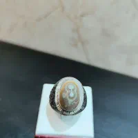 باباقوری مردانه