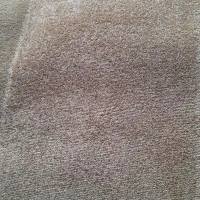 پالاز موکت