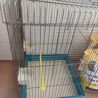قفس پرنده و بلدرچین