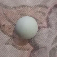 سنگ الماس آسیاب