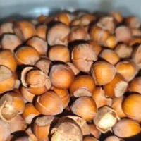 فندق