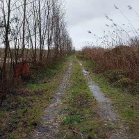 زمین بر اتوبان