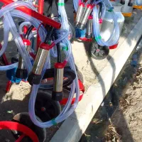 خرید و فروش شیر دوش شیردوش