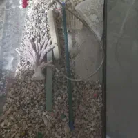 یک عدد آکواریوم باتمام مخلفات بفروش می رسد|ماهی|جزنیک, |دیوار