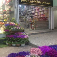 صحافی و طلاکوب و پایان نامه