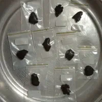 موم نایی اصل گرمی ۱۲۰ هزار