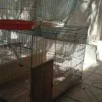 قفس بزرگ 40در 70 قفس مینا