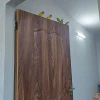 طوطی کوتوله|پرنده|اصفهان, سرچشمه|دیوار