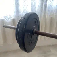 دمبل هالتر میز پرس بالاسینه|تجهیزات ورزشی|هشتگرد, شهرک اقدسیه|دیوار