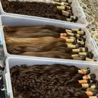 فروش .خریدار اصلی مو بالاتر از هر جایی