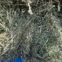 یونجه انباری تحویلی|عمده‌فروشی|قیدار, |دیوار