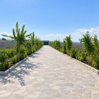 فروش-باغچه-با-شرایط-اقساطی-250متر-سندتک-برگ