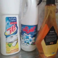 نظافتچی در شهر ری