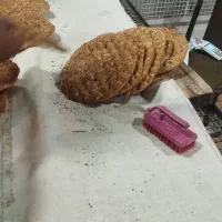 استخدام نیرو