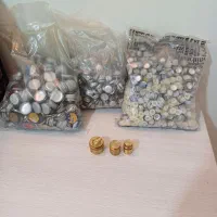 دکمه پرسی به همراه قالب