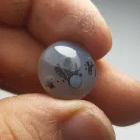 عقیق شجر قائن باباقوری دار|جواهرات|قم, شهر قائم|دیوار