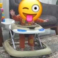 روروئک برند دلیجان موزیکال در حد نو