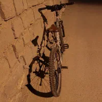 دوچرخه۲۶|دوچرخه، اسکیت، اسکوتر|کاکی, |دیوار