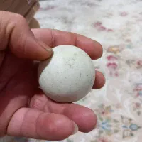 سنگ اسیاب