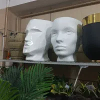 گلدان فایبرگلاس|گل و گیاه طبیعی|گرگان, |دیوار