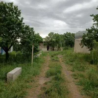 باغ شفیع اباد|فروش زمین و ملک کلنگی|قزوین, |دیوار