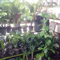 آنلاین|کنسول، بازی ویدئویی و آنلاین|مشهد, گلشور|دیوار