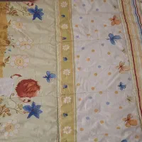 روتختی نوزاد نوجوان