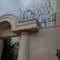 دوربین مداربسته