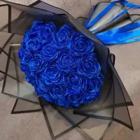 کادو خراب نشدنی