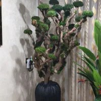 درخت جاودان vip شاهپسند با گلدان مصری بلند|گل مصنوعی|شاهدشهر, |دیوار