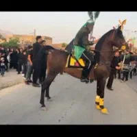 اسب عرب مصری کره ی یوز معروف