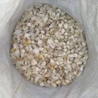 سیر همدان|خوردنی و آشامیدنی|اقبالیه, |دیوار