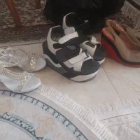 صندل|کیف، کفش، کمربند|شیراز, شهرک پرواز|دیوار