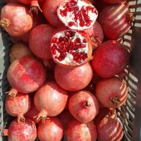 انار انباری درجه یک دان سیاه موجود است|عمده‌فروشی|کوهنانی, |دیوار