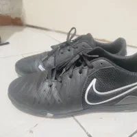 کفش سالنی نایک تمپو ۴۳ نو آک|ورزش‌های توپی|محمدیه-قزوین, |دیوار